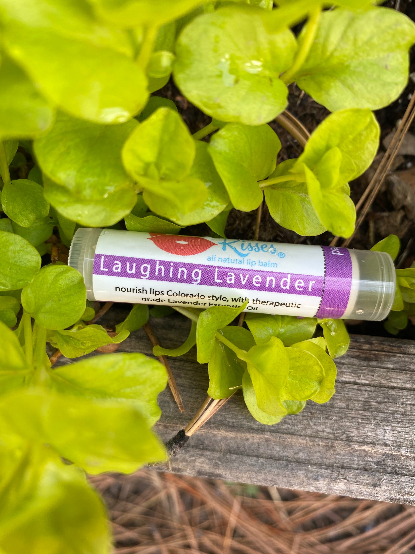 Laughing Lavender Lip Balm Handmade in USA