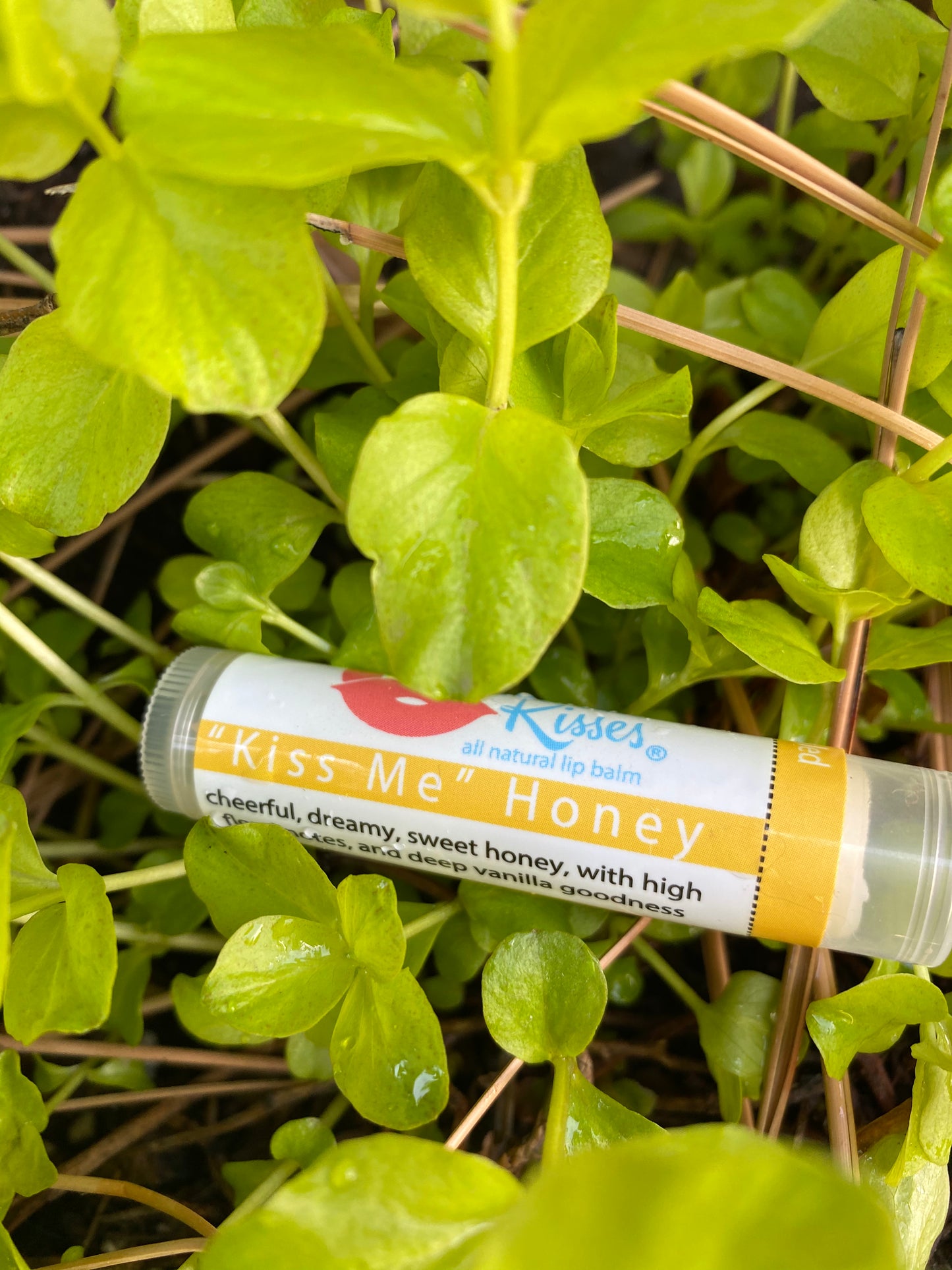 Kiss Me Honey Lip Balm Tube
